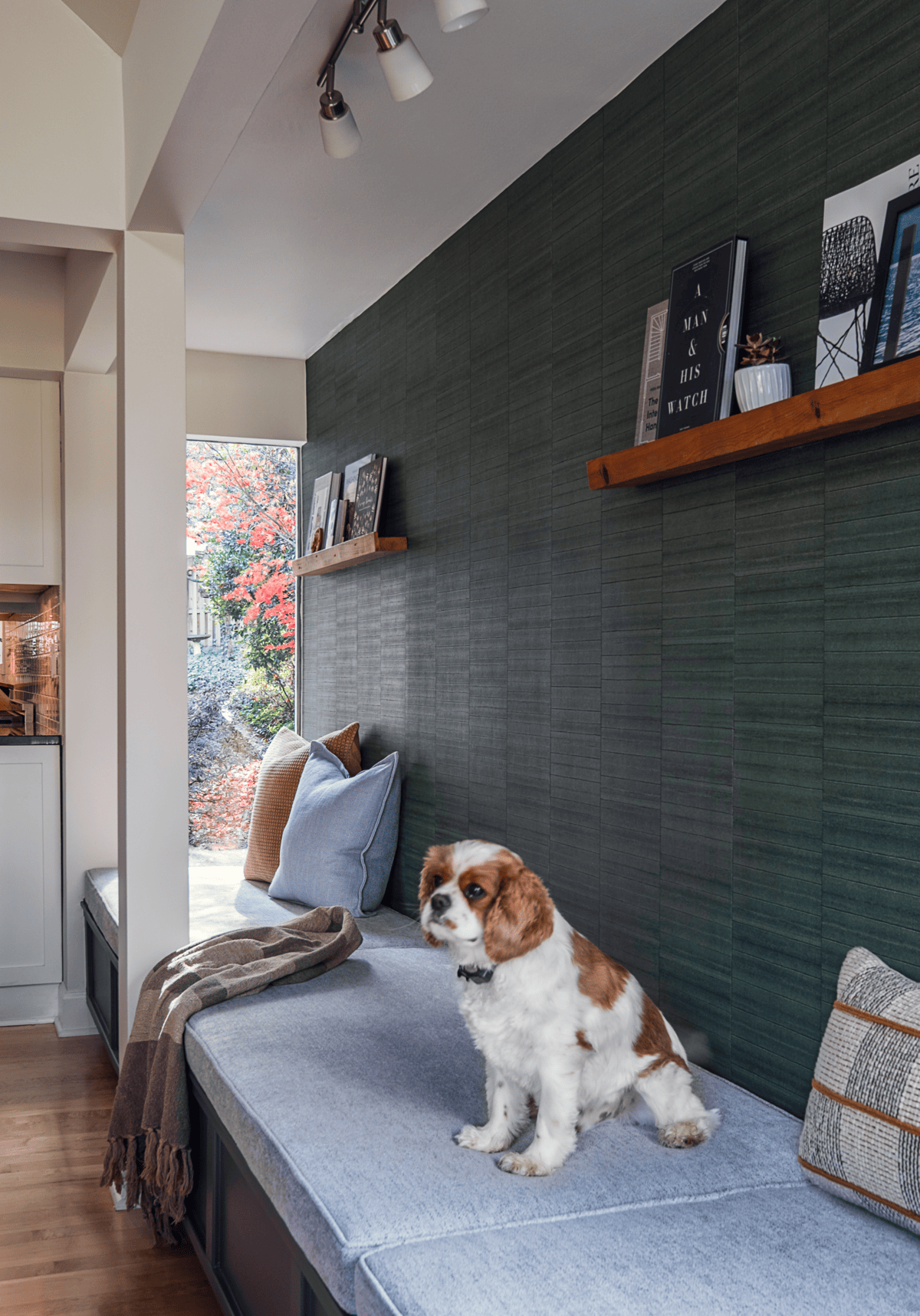 Cavalier spaniel on a cushioned window bench against green textured wallcovering, with a walnut floating shelf and a garden view.